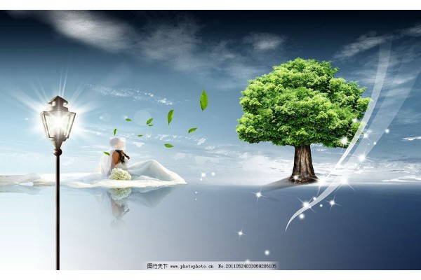 武汉老字号桑拿板，匠心独运，品质至上！